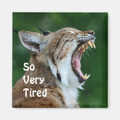 Aimant Yawning Bobcat (Devant)