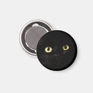 Aimant Yellow Cat Eyes, Chat noir, Arrière - plan noir
