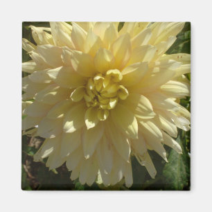 aimant "Yellow Dahlia" de l'artiste Jan Turner