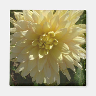 aimant "Yellow Dahlia" de l'artiste Jan Turner