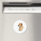 Aimant Yellow Labrador Retriever (In Situ (Lave-vaisselle))