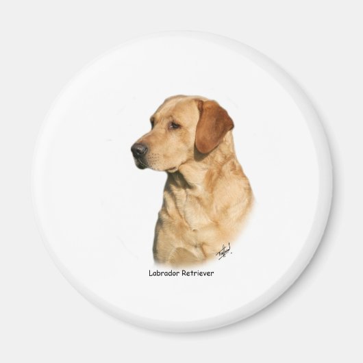 Aimant Yellow Labrador Retriever (Devant)