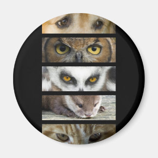 Aimant - Yeux animaux