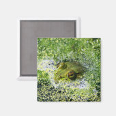 Aimant Yeux de grenouille dans un étang (Recto/Verso)