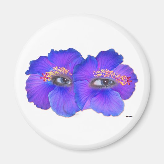 Aimant Yeux d'Hibiscus - Bleu (Devant)