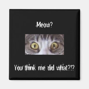 Aimant Yeux larges de chat tigré