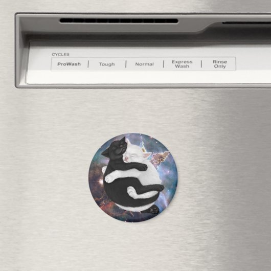 Aimant Yin et Yang (In Situ (Lave-vaisselle))