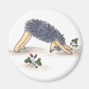 Aimant Yoga de hérisson