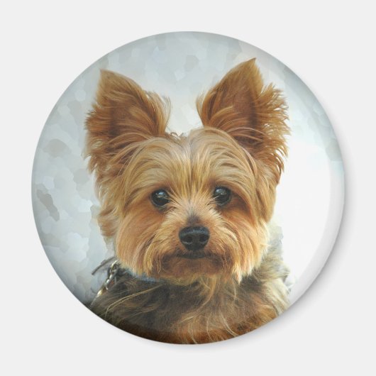 Aimant Yorkie (Devant)
