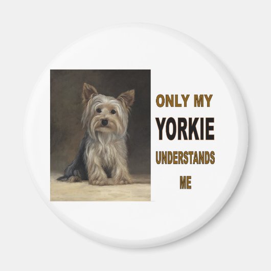AIMANT YORKIE (Devant)