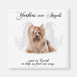 Aimant Yorkie Angel