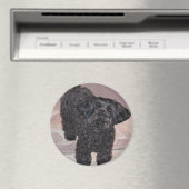 Aimant Yorkie Poo curieux (In Situ (Lave-vaisselle))