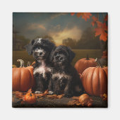 Aimant Yorkipoo Chiot Automne Citrouille délice (Devant)