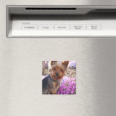 Aimant Yorkshire Terrier (In Situ (Lave-vaisselle))