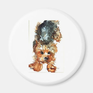 aimant - Yorkshire Terrier