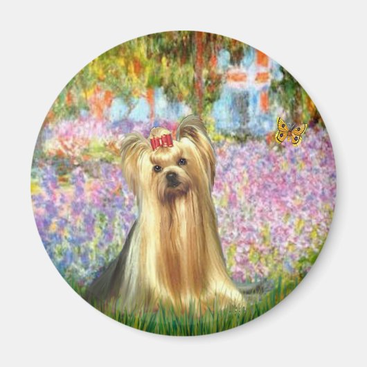 Aimant Yorkshire Terrier 1 - Jardin (Devant)