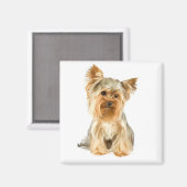 Aimant Yorkshire Terrier Chien Chien Chien Chien Chien Ch (Recto/Verso)