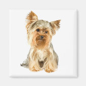Aimant Yorkshire Terrier Chien Chien Chien Chien Chien Ch (Devant)