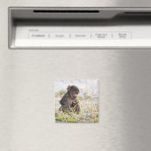 Aimant Young Baboon (In Situ (Lave-vaisselle))