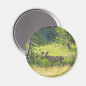 Aimant Young Buck in Yosemite, CA (Recto/Verso)