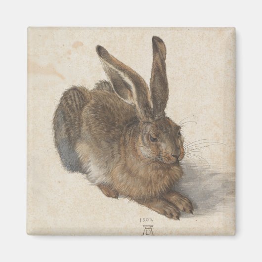 Aimant Young Hare par Albrecht Durer (Devant)