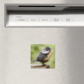 Aimant Young Robin (In Situ (Lave-vaisselle))