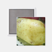 Aimant Yukon Gold potato (Recto/Verso)