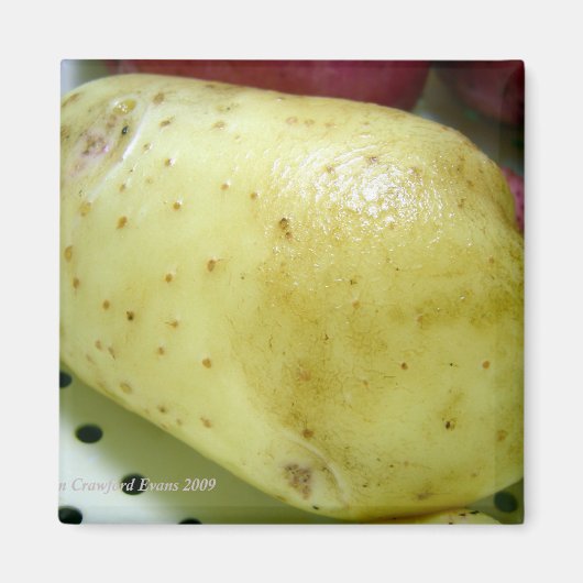 Aimant Yukon Gold potato (Devant)