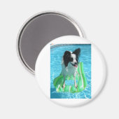 AIMANT ZACH (Recto/Verso)