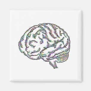 Aimant Zany Brainy