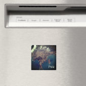 Aimant zCV015 PRAIA, Cap-Vert, Afrique, Réfrigérateur (In Situ (Lave-vaisselle))