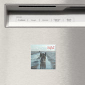 Aimant zDE095 SÜDFALL FAIBLE TIDE Îles frisonnes - Fridge (In Situ (Lave-vaisselle))