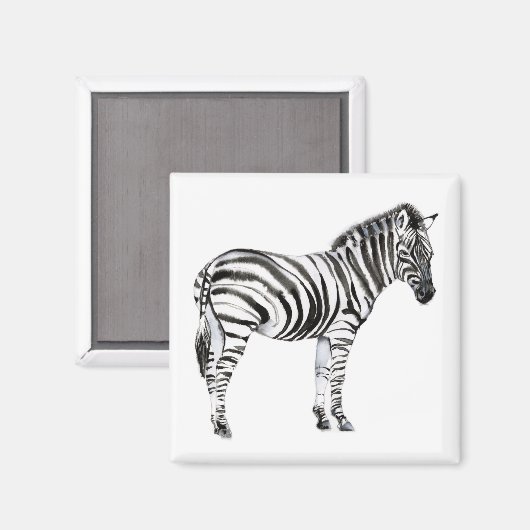 Aimant Zebra (Recto/Verso)