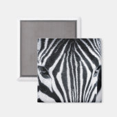 Aimant Zebra closeup image (Recto/Verso)
