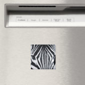 Aimant Zebra closeup image (In Situ (Lave-vaisselle))