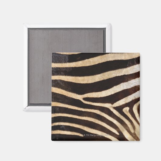 Aimant Zebra hide 2 (Recto/Verso)