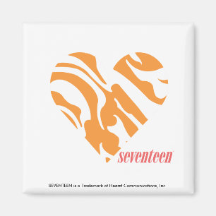 Aimant Zebra Orange 2