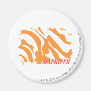 Aimant Zebra Orange 4