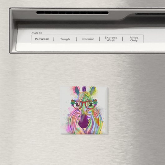 Aimant Zebra Rainbow Splash (In Situ (Lave-vaisselle))