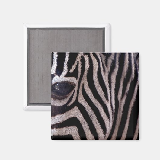 Aimant Zebra Stripes (Recto/Verso)