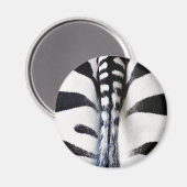Aimant Zebra Tail noir et blanc (Recto/Verso)