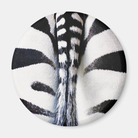 Aimant Zebra Tail noir et blanc (Devant)