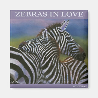 AIMANT ZEBRAS AMOUREUX