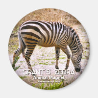 zèbre de Grant magnétique