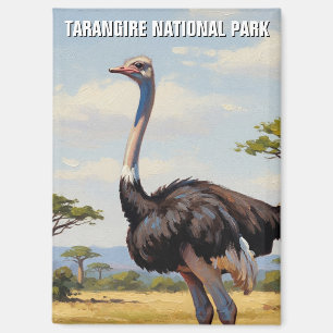 Aimant Zèbre du parc national de Tarangire en Tanzanie