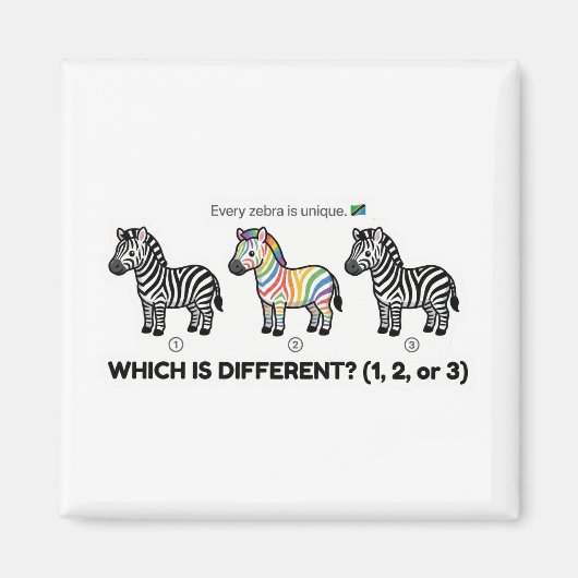 Aimant Zèbre qui est différent (Devant)