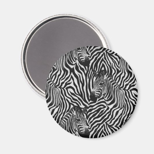 Aimant Zebtas (Recto/Verso)