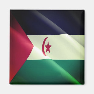 Aimant zEH002 WESTERN SAHARA, Drapeau, Afrique, Réfrigéra