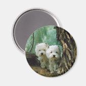 Aimant Zest et Donna (Mère et Fille Prendre 2) (Recto/Verso)