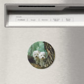 Aimant Zest et Donna (Mère et Fille Prendre 2) (In Situ (Lave-vaisselle))